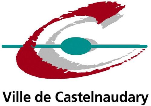 Hervé Antoine, Directeur Général des Services
06 19 27 14 09 - herve.antoine@villecastelnaudary.fr
